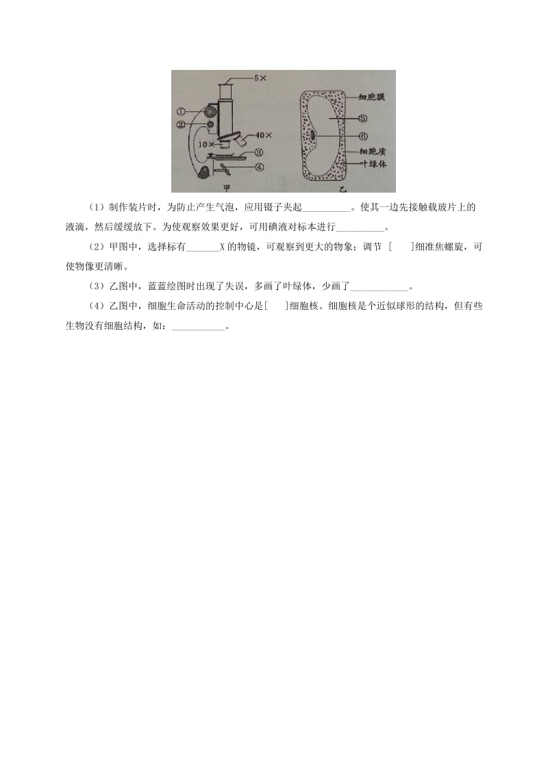 2019-2020年七年级生物上册2.3.1细胞的基本结构和功能同步练习2新版北师大版.doc_第3页