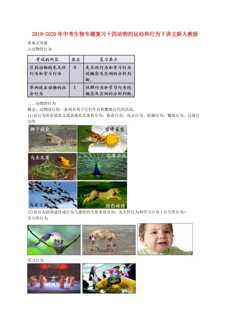 2019-2020年中考生物专题复习十四动物的运动和行为下讲义新人教版.doc_第1页