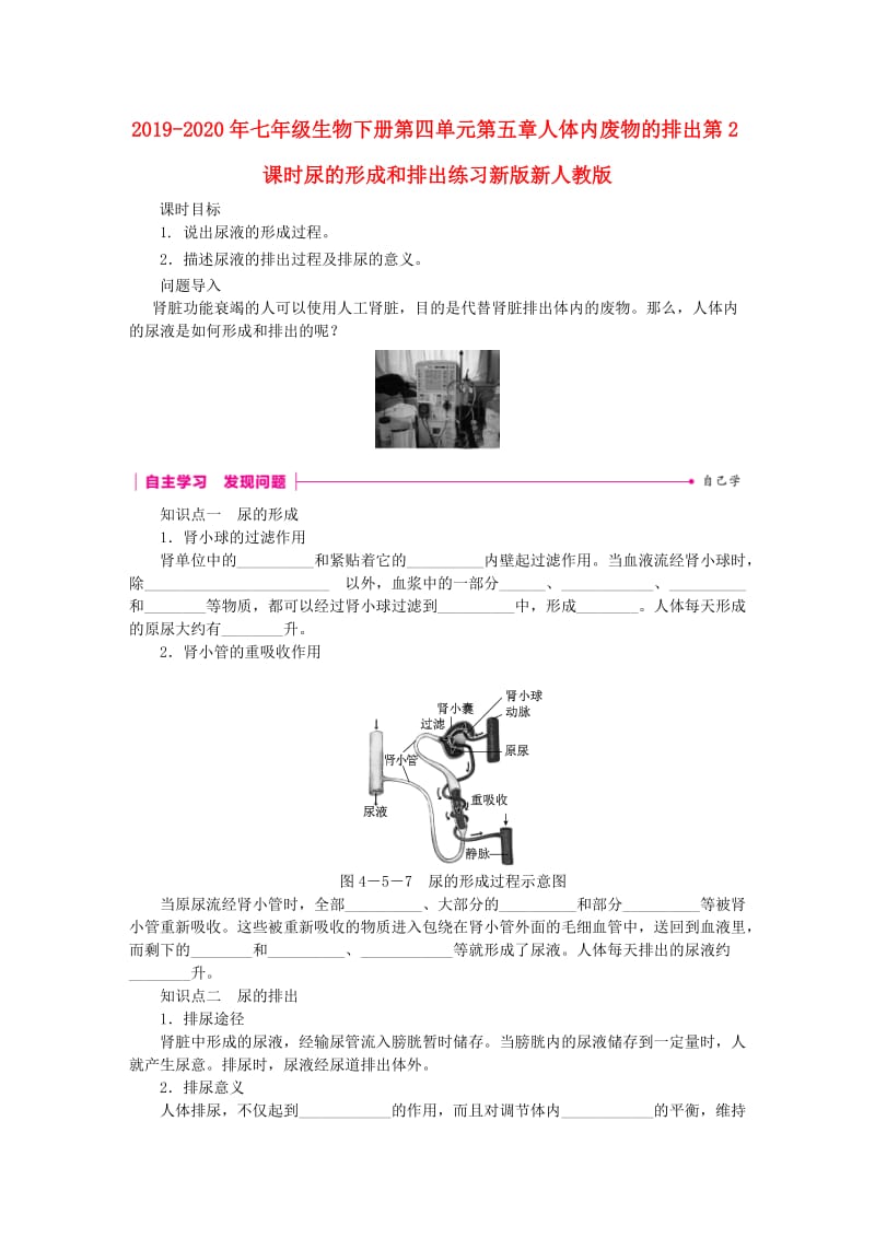 2019-2020年七年级生物下册第四单元第五章人体内废物的排出第2课时尿的形成和排出练习新版新人教版.doc_第1页