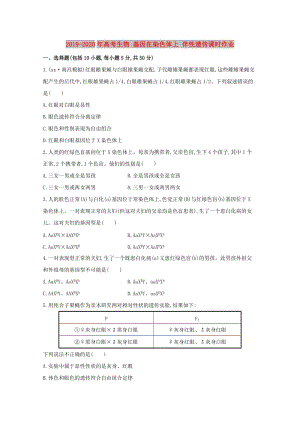 2019-2020年高考生物 基因在染色體上 伴性遺傳課時作業(yè).doc