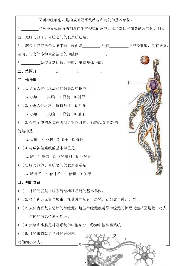 2019-2020年七年级生物下册 第6章第2节神经系统的组成教案 人教新课标版.doc_第3页