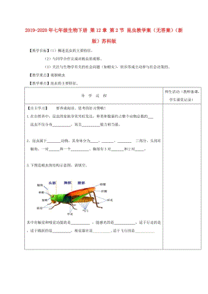 2019-2020年七年級(jí)生物下冊(cè) 第12章 第2節(jié) 昆蟲(chóng)教學(xué)案（無(wú)答案）（新版）蘇科版.doc