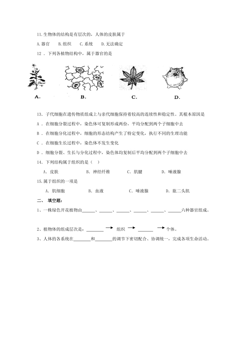 2019-2020年七年级生物上册 第4章第2节 多细胞生物体的组成同步练习 苏教版.doc_第2页