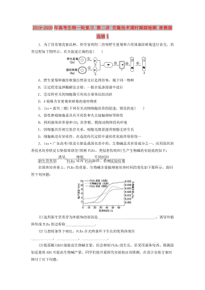 2019-2020年高考生物一輪復(fù)習(xí) 第二講 克隆技術(shù)課時(shí)跟蹤檢測(cè) 浙教版選修3.doc