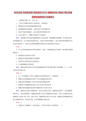 2019-2020年高考生物一輪總復(fù)習(xí) 4.1.3細(xì)胞的分化、衰老、凋亡及癌變限時(shí)規(guī)范特訓(xùn)（含解析）.doc