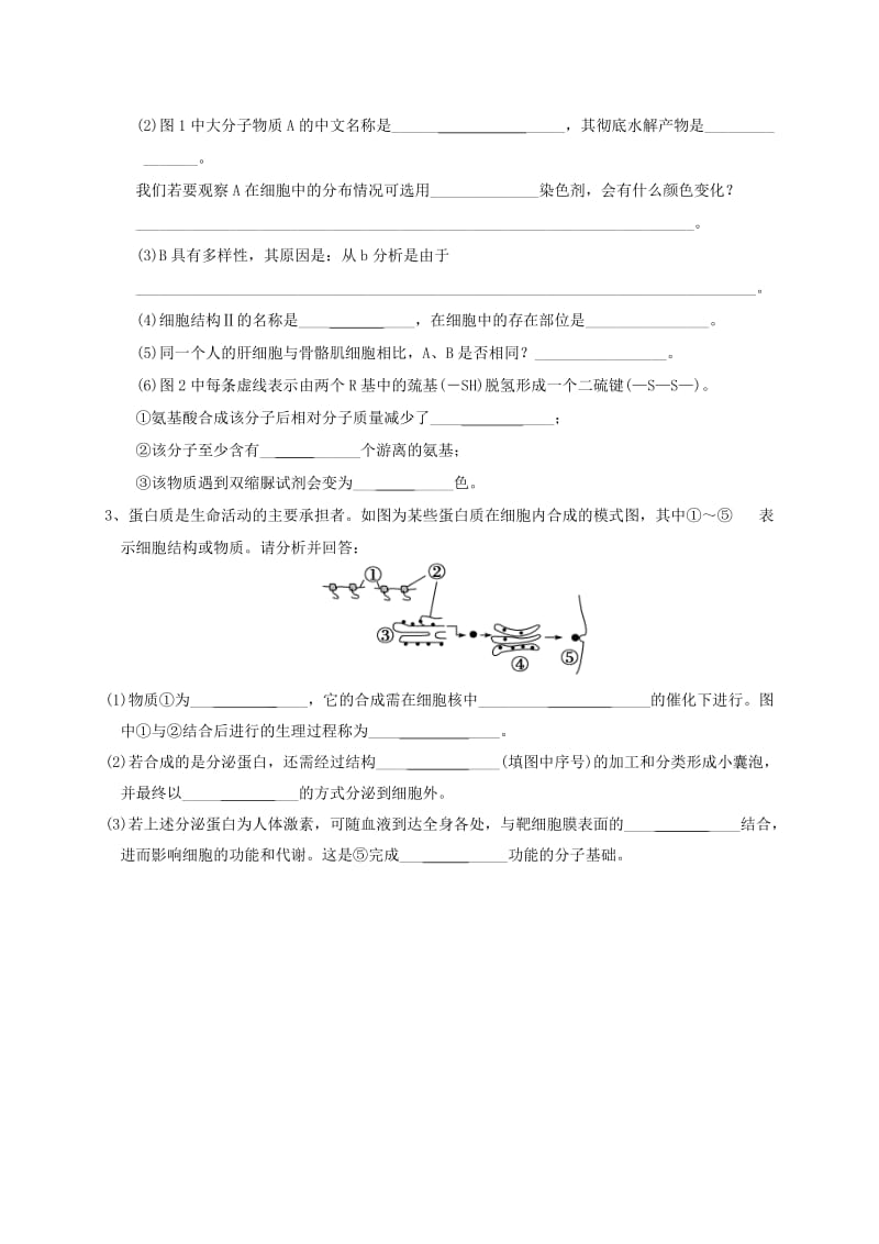 2019-2020年高考生物专题复习 细胞的分子组成和结构.doc_第2页