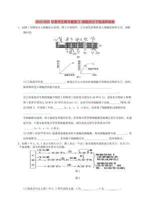 2019-2020年高考生物專題復(fù)習(xí) 細(xì)胞的分子組成和結(jié)構(gòu).doc