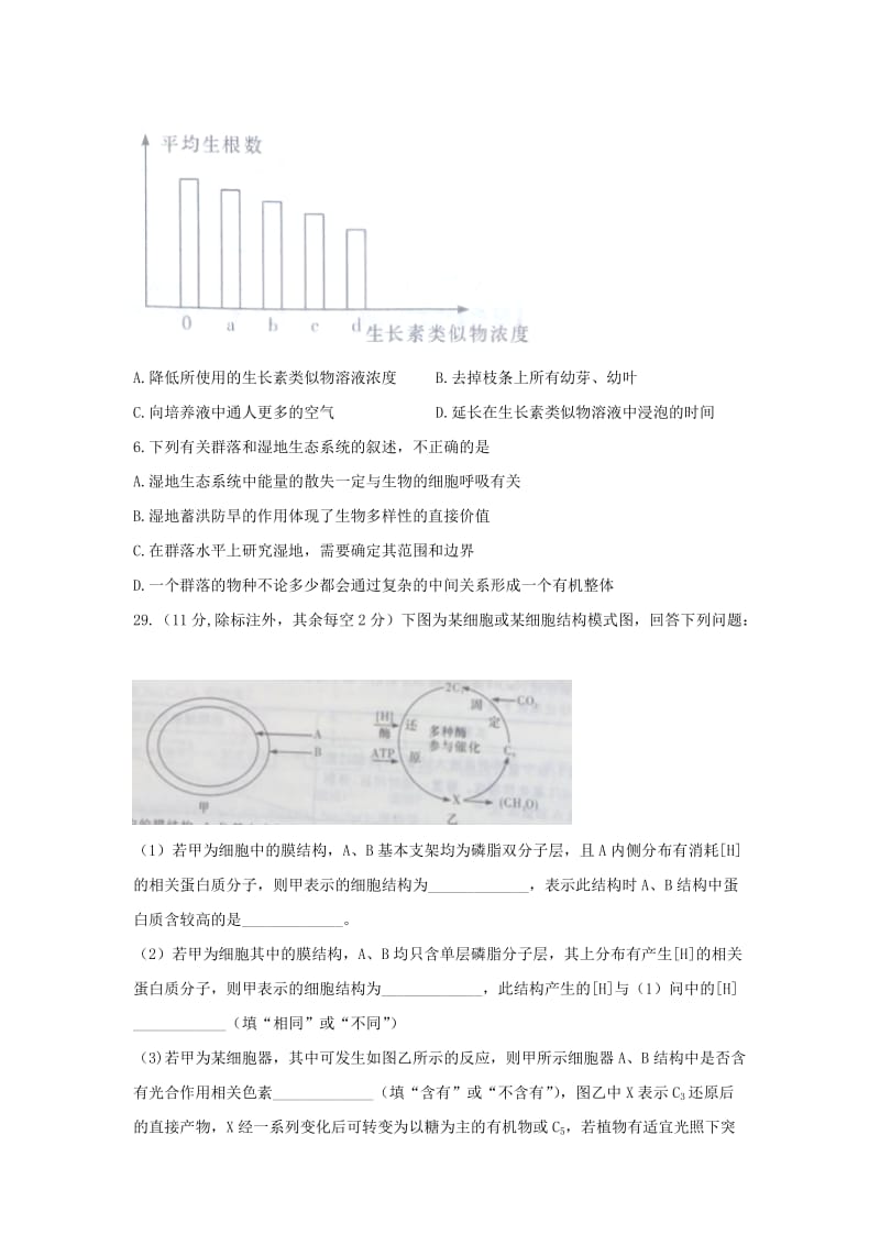 2019年高三下学期高考模拟（一）理综生物试题 含答案.doc_第2页