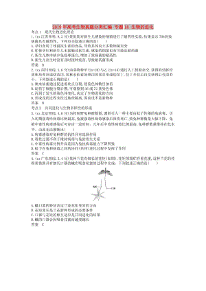 2019年高考生物真題分類匯編 專題16 生物的進(jìn)化.doc