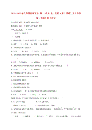 2019-2020年九年級化學(xué)下冊 第11單元 鹽、化肥（第3課時）復(fù)習(xí)導(dǎo)學(xué)案（新版）新人教版.doc