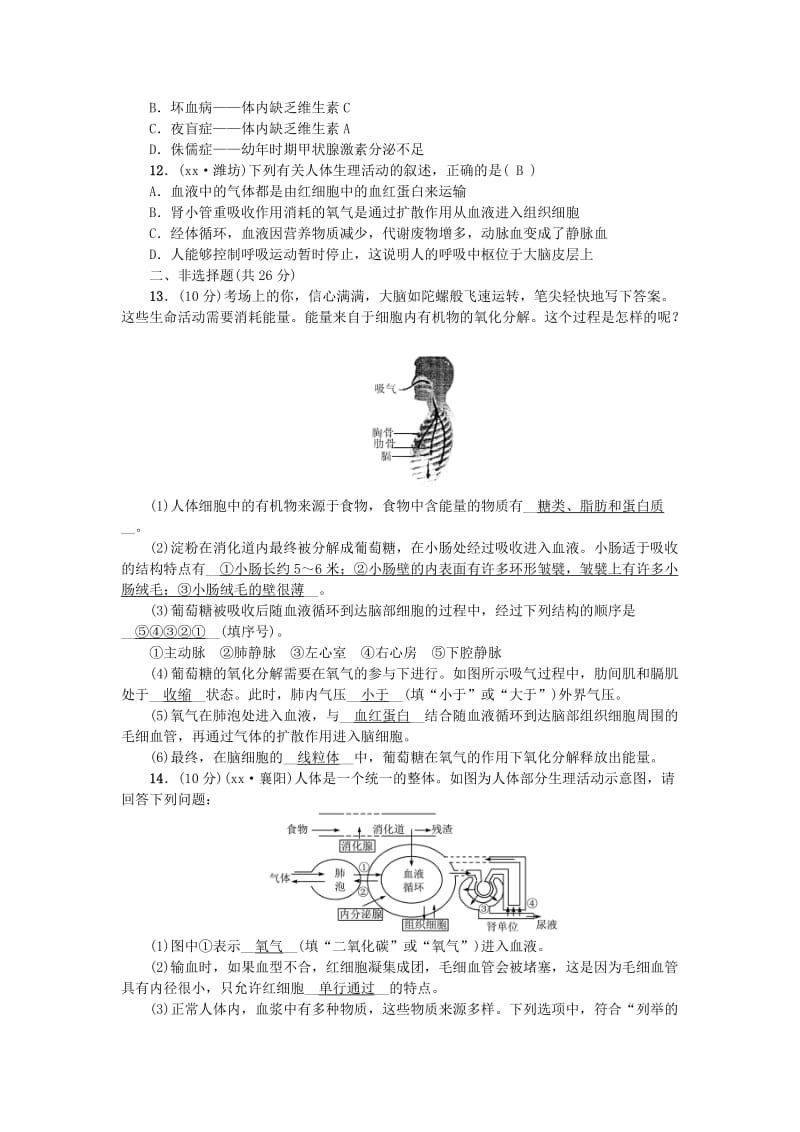 2019-2020年中考生物专题5生物圈中的人复习练习.doc_第3页