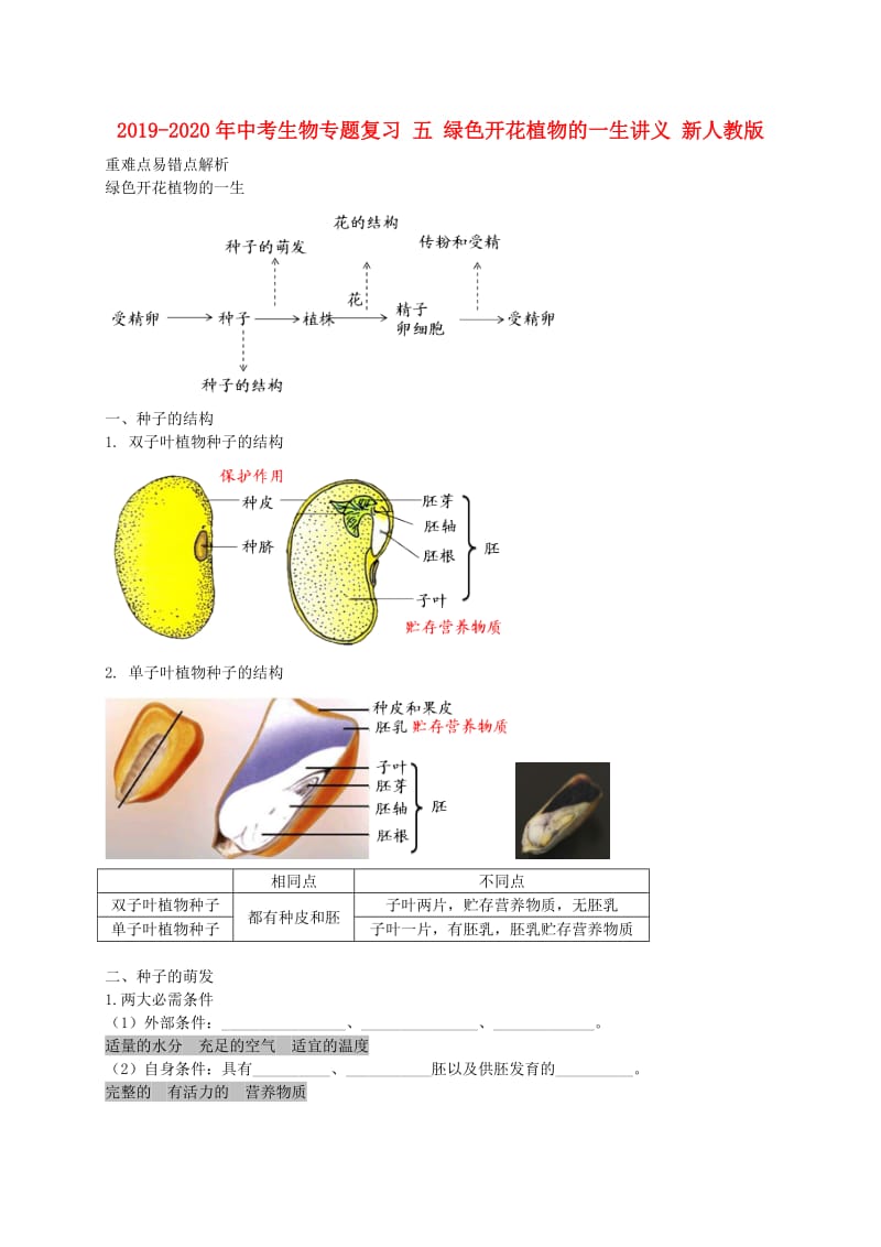 2019-2020年中考生物专题复习 五 绿色开花植物的一生讲义 新人教版.doc_第1页