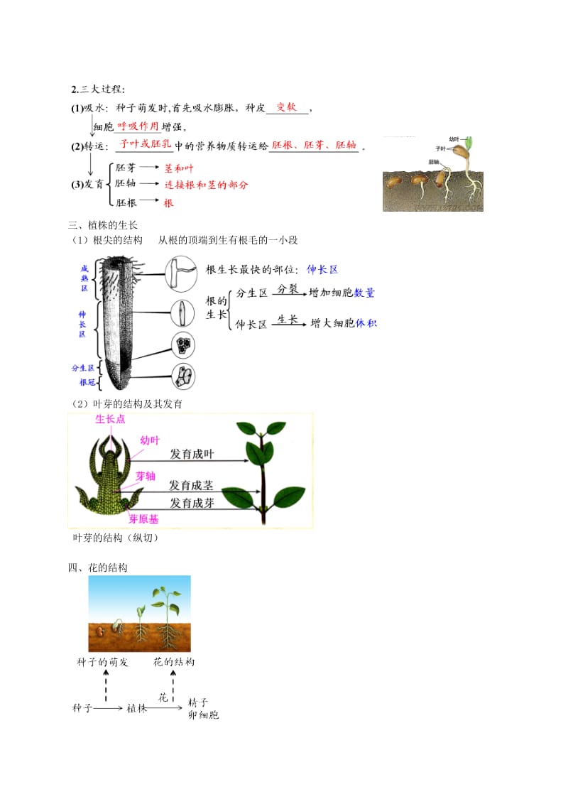 2019-2020年中考生物专题复习 五 绿色开花植物的一生讲义 新人教版.doc_第2页