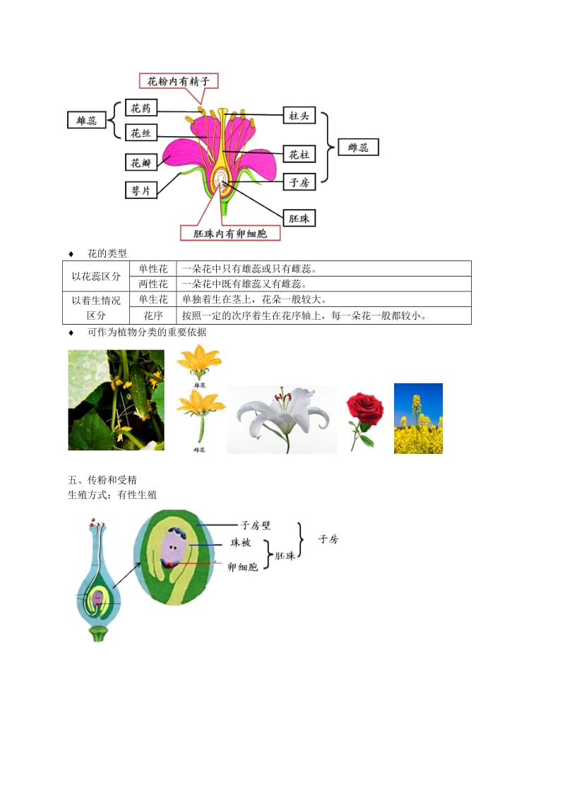 2019-2020年中考生物专题复习 五 绿色开花植物的一生讲义 新人教版.doc_第3页