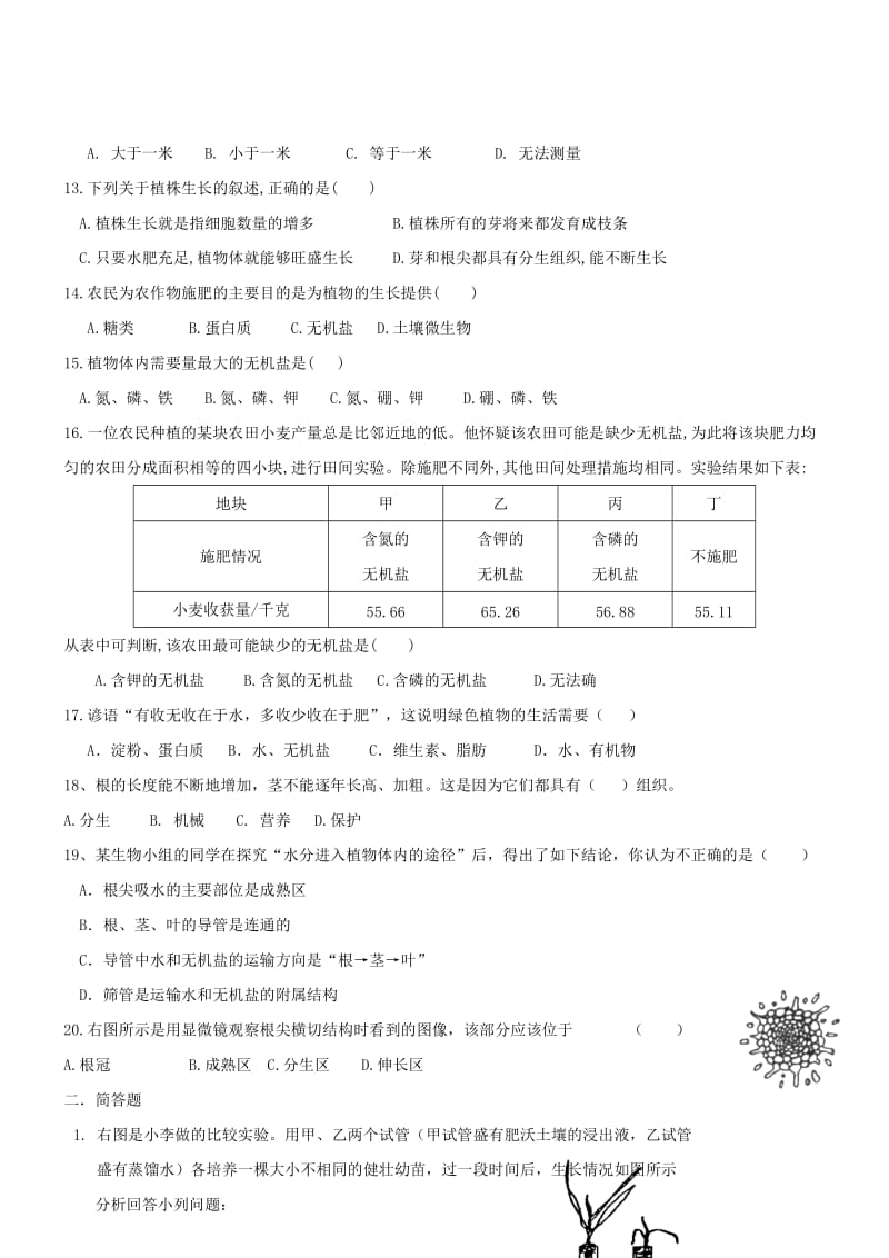 2019-2020年七年级生物上册3.2.2植株的生长同步测试无答案新版新人教版.doc_第2页