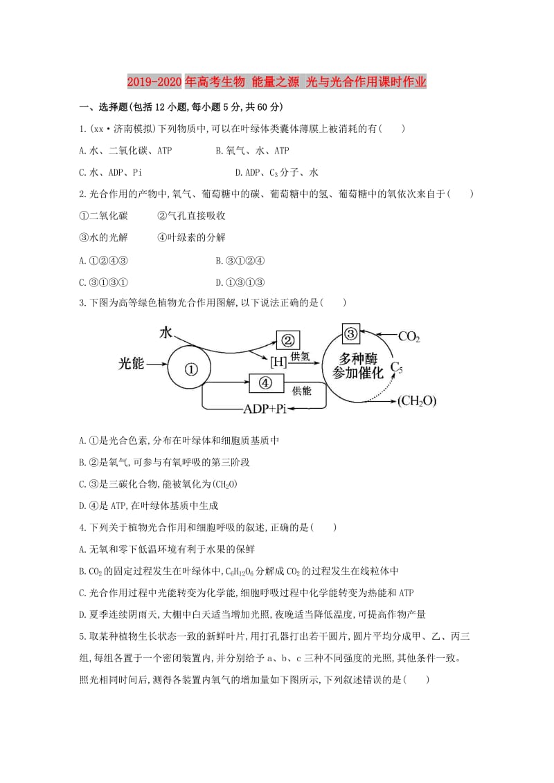 2019-2020年高考生物 能量之源 光与光合作用课时作业.doc_第1页