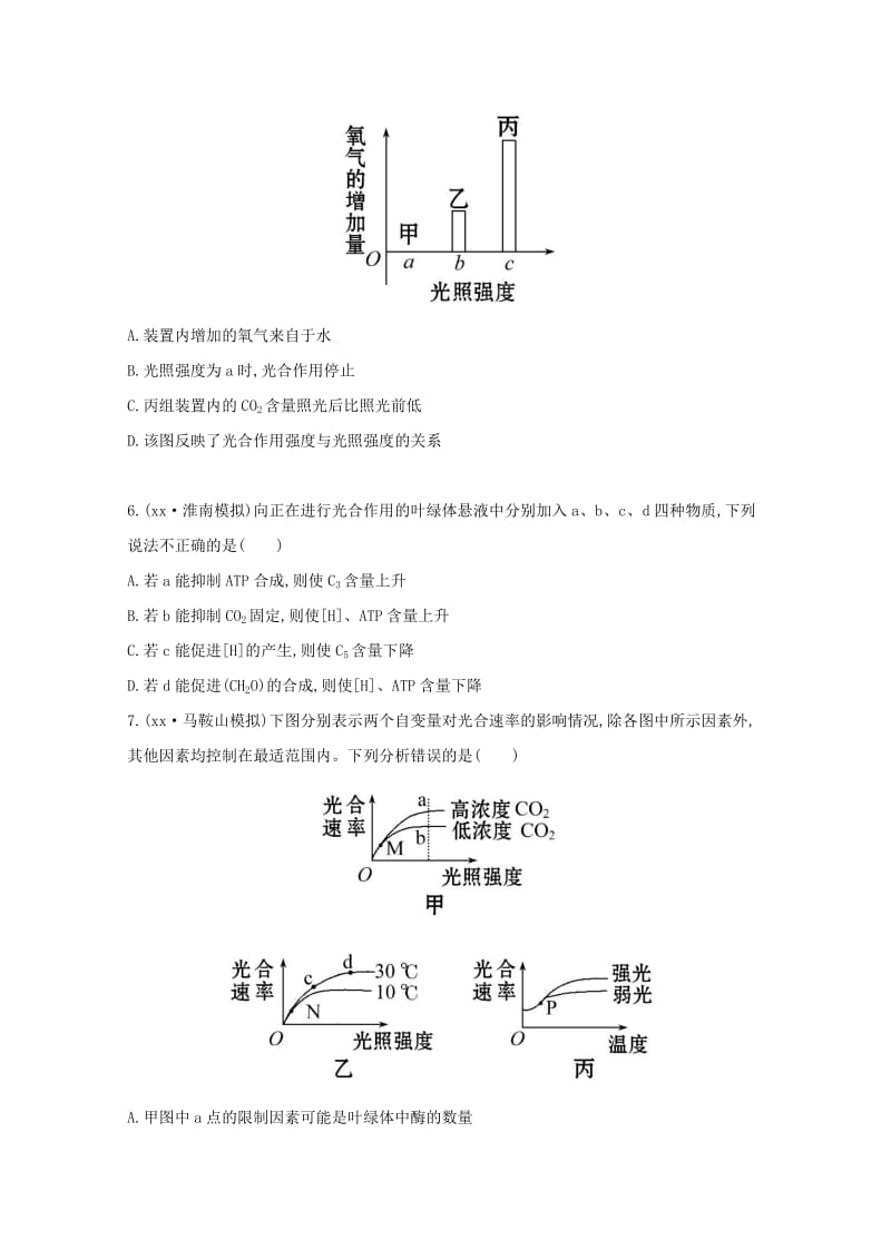 2019-2020年高考生物 能量之源 光与光合作用课时作业.doc_第2页