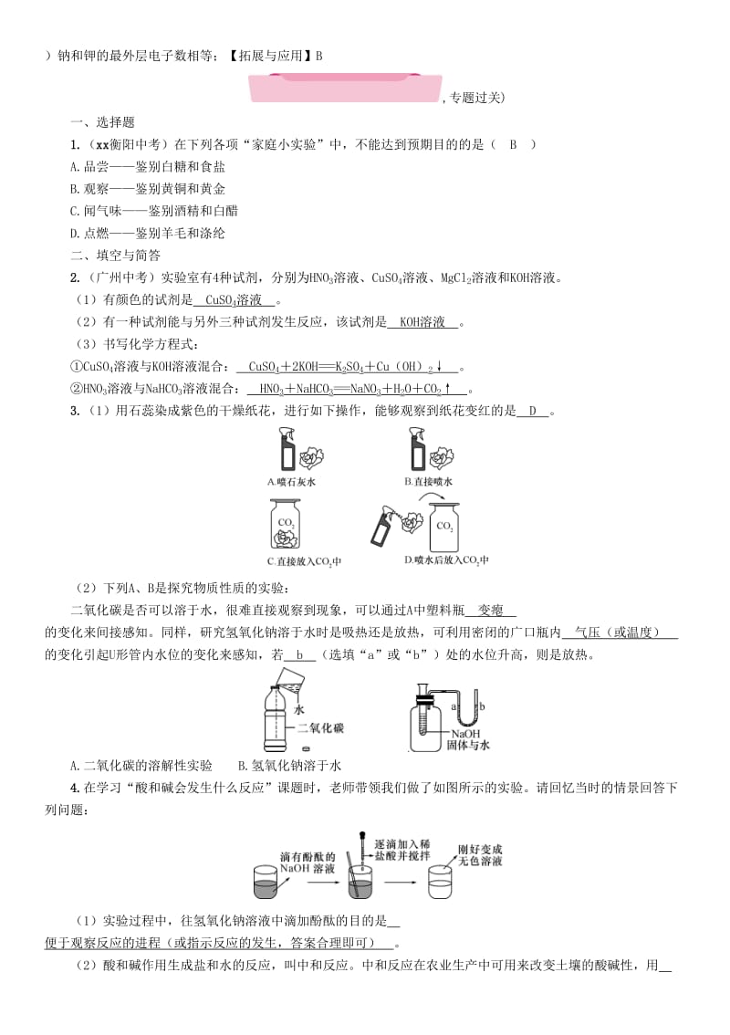 2019-2020年中考化学复习第二编专题7综合探究四有关物质性质的探究精讲练习.doc_第2页