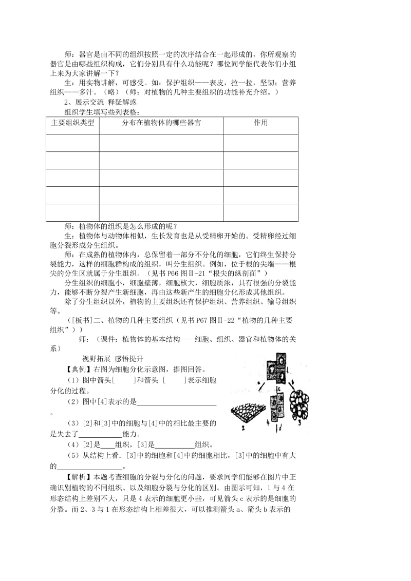 2019-2020年七年级生物上册 第二单元 第二章 第三节 植物体的结构层次教学案（无答案）（新版）新人教版.doc_第3页