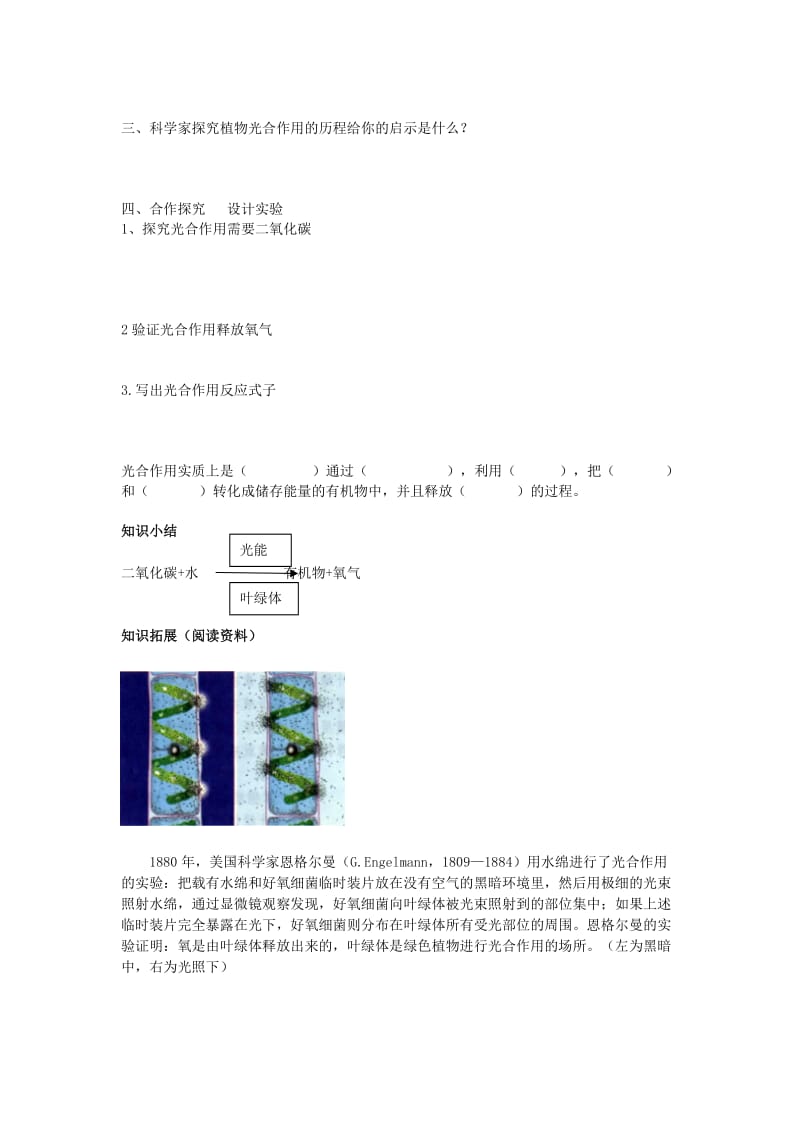 2019-2020年七年级生物《光合作用》（第一课时）学案（无答案）.doc_第2页