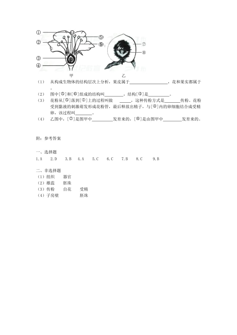 2019-2020年七年级生物上册第三单元第二章第三节开花和结果当堂达标检测新版新人教版.doc_第2页