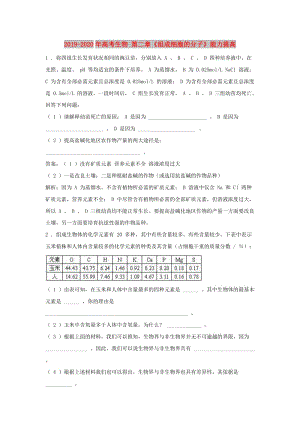 2019-2020年高考生物 第二章《組成細胞的分子》能力提高.doc