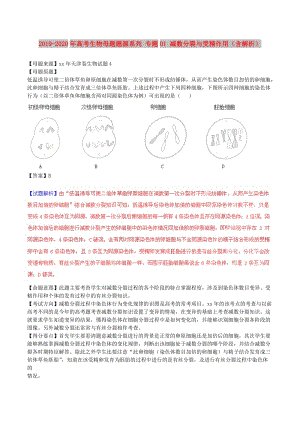 2019-2020年高考生物母題題源系列 專題01 減數(shù)分裂與受精作用（含解析）.doc