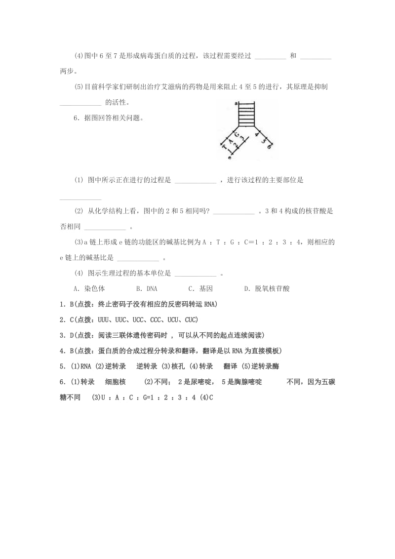 2019-2020年高考生物 第四章《基因的表达》能力提高.doc_第2页