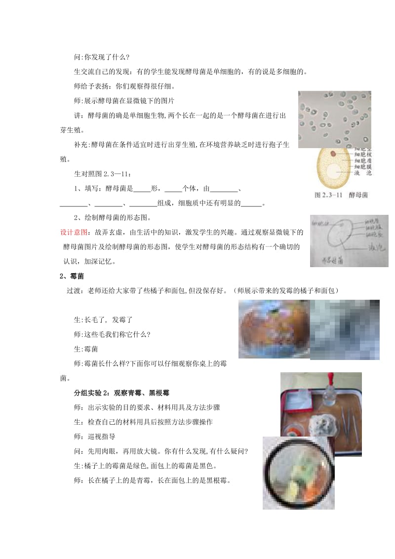 2019-2020年七年级生物上册 第2单元 第3章 第3节 真菌教学案1（无答案）（新版）济南版.doc_第3页