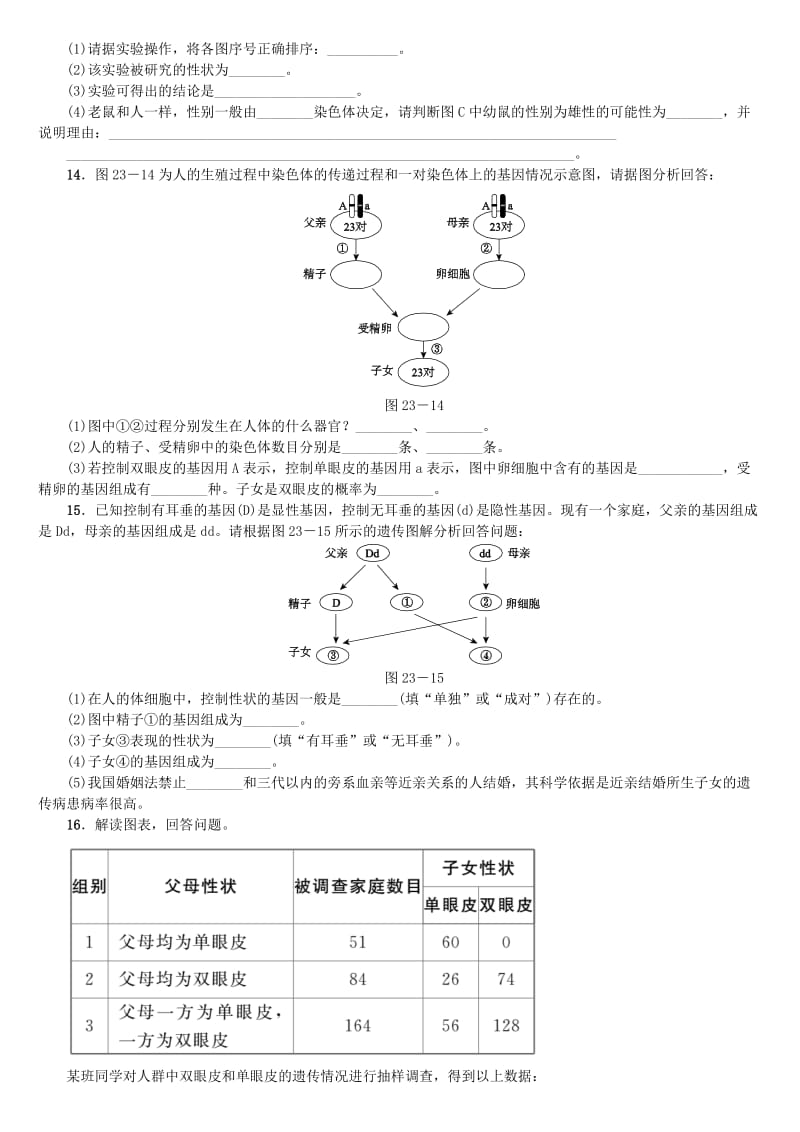 2019-2020年中考生物 第六单元 生命的延续和发展 第23课时 生物的遗传和变异课时作业.doc_第3页