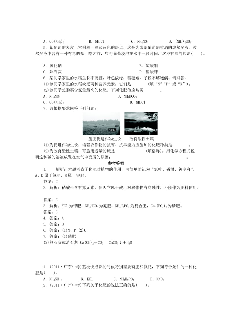 2019-2020年九年级化学下册 11.3 化学与农业生产复习 （新版）鲁教版.doc_第3页