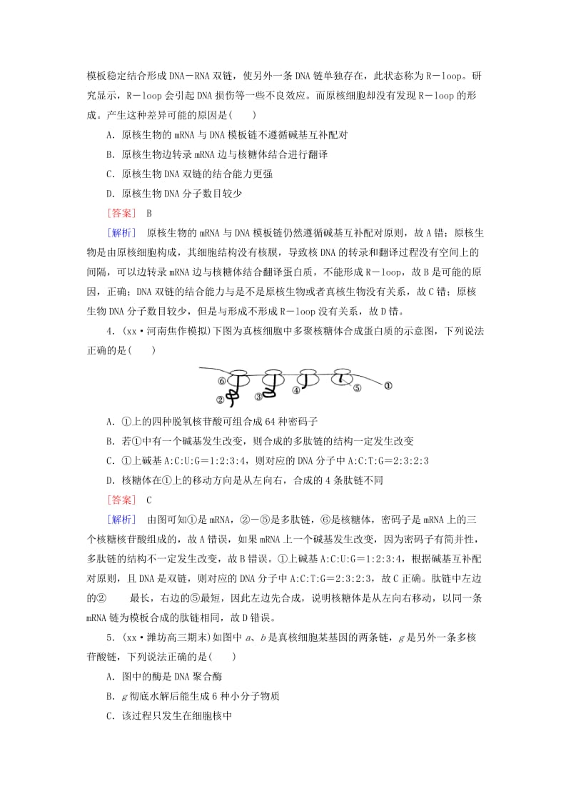 2019年高三生物二轮复习 专题4 第1讲 遗传的物质基础与基因表达.doc_第2页