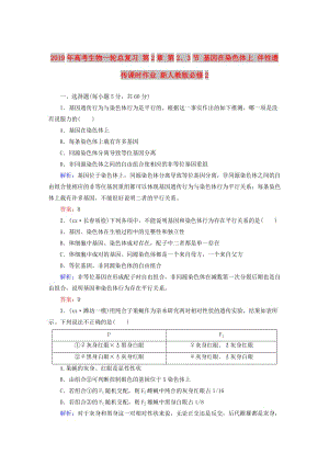 2019年高考生物一輪總復(fù)習(xí) 第2章 第2、3節(jié) 基因在染色體上 伴性遺傳課時作業(yè) 新人教版必修2.DOC