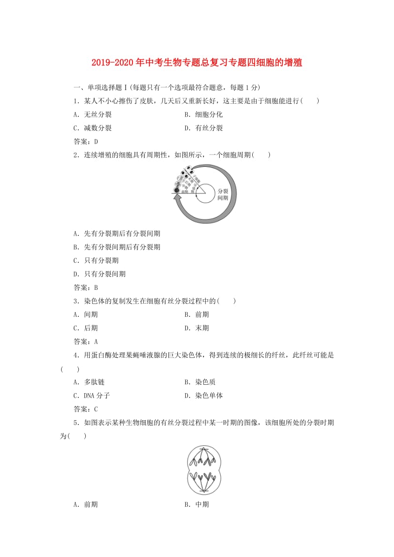 2019-2020年中考生物专题总复习专题四细胞的增殖.doc_第1页