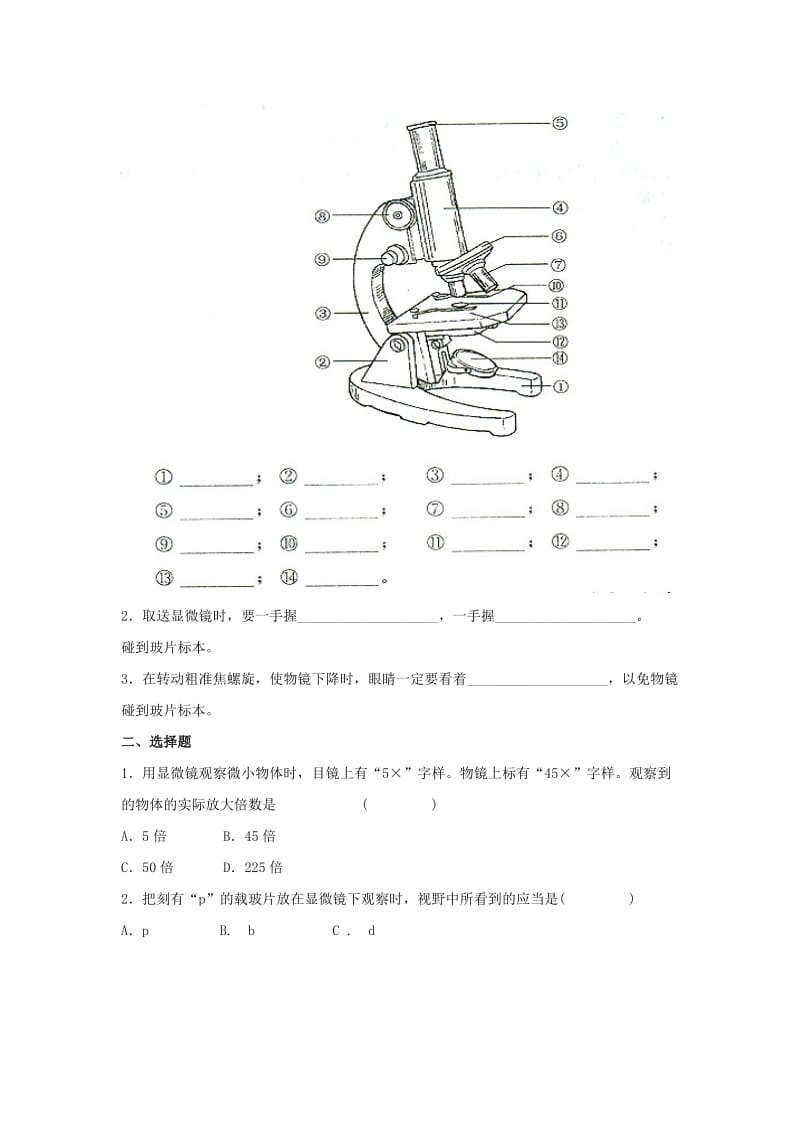 2019-2020年七年级生物上册 2.1 探索生命的器具1教案 苏教版.doc_第3页