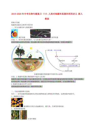 2019-2020年中考生物專題復(fù)習 十六 人類對細菌和真菌的利用講義 新人教版.doc