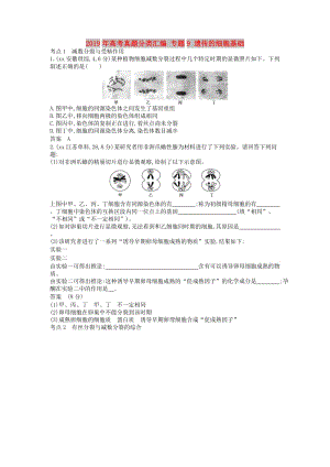 2019年高考真題分類(lèi)匯編 專(zhuān)題9 遺傳的細(xì)胞基礎(chǔ).doc