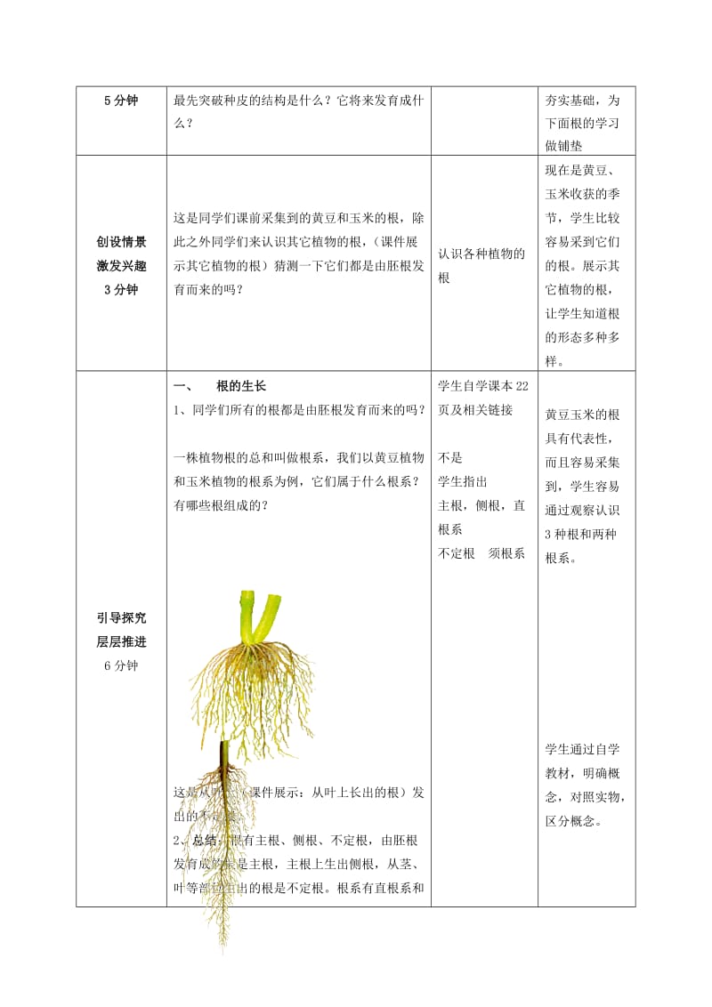 2019-2020年八年级生物上册 第四单元 第一章 第五节 根的结构与功能第一课时教案 济南版.doc_第2页