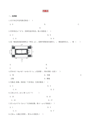 中考數(shù)學(xué)專題復(fù)習(xí)卷 代數(shù)式（含解析）.doc