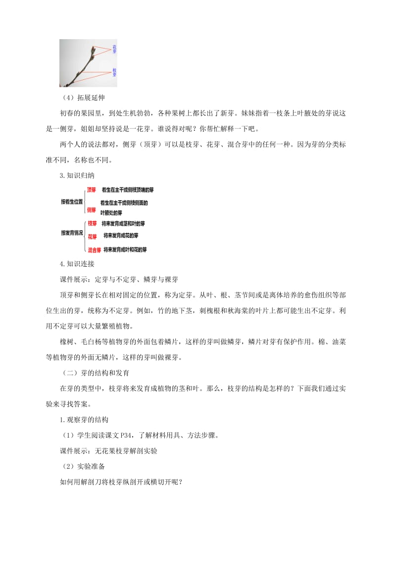 2019-2020年八年级生物上册 第一章 第六节《芽的类型和发育》教案 （新版）济南版.doc_第3页