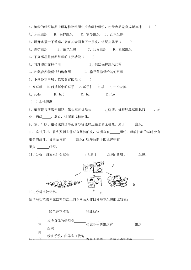 七年级生物上册 2.2.3《植物体的结构层次》导学案2 （新版）新人教版.doc_第3页