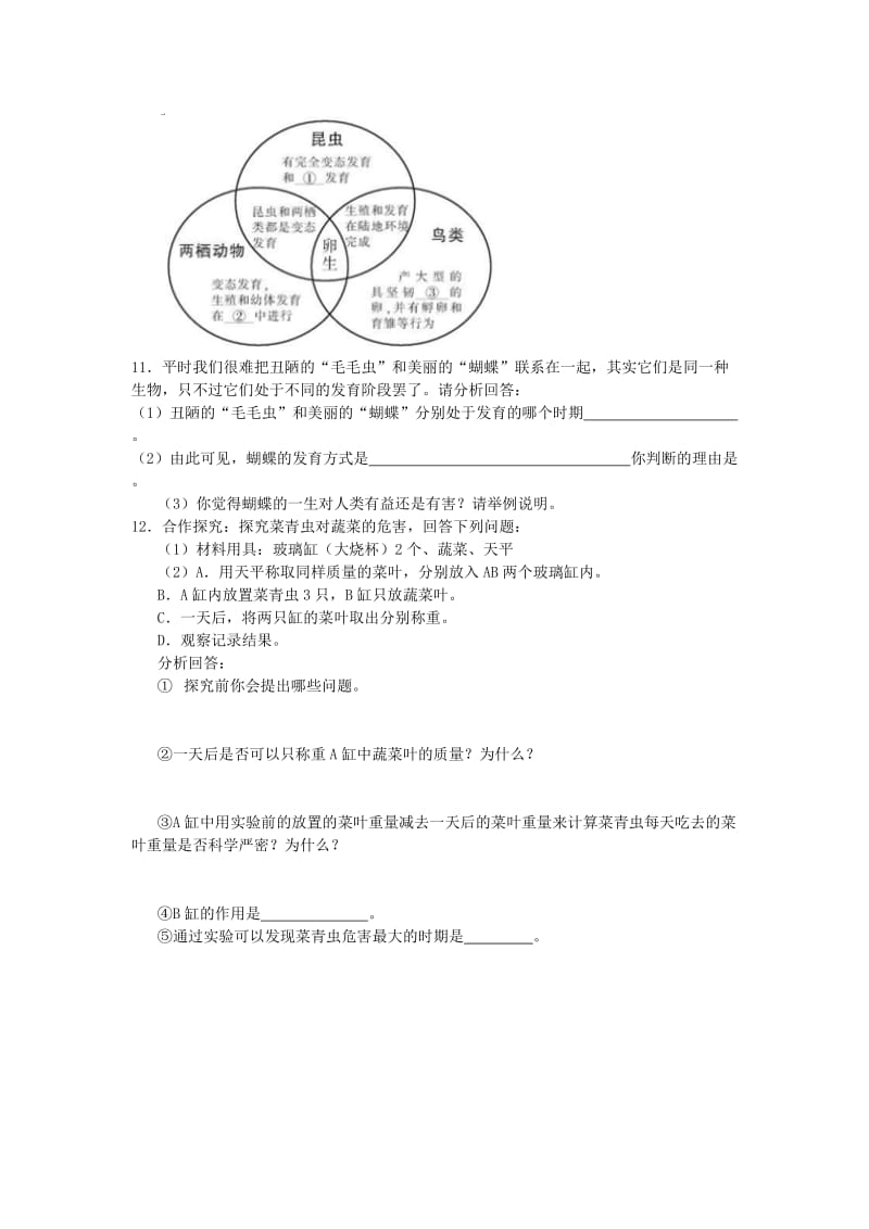 2019-2020年八年级生物下册 7.1.2昆虫的生殖和发育课时训练 （新版）新人教版.doc_第3页