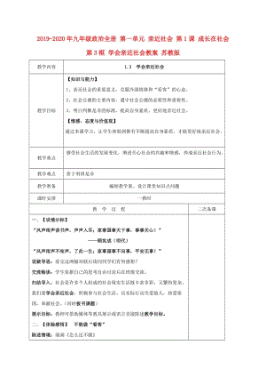 2019-2020年九年級政治全冊 第一單元 親近社會 第1課 成長在社會 第3框 學(xué)會親近社會教案 蘇教版.doc