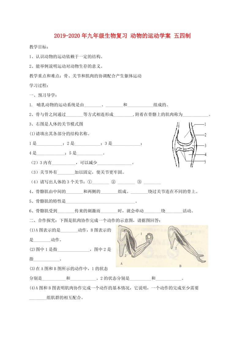 2019-2020年九年级生物复习 动物的运动学案 五四制.doc_第1页