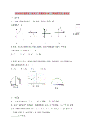 2019版中考數(shù)學(xué)二輪復(fù)習(xí) 專題訓(xùn)練16 二次函數(shù)應(yīng)用 魯教版.doc