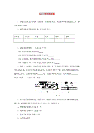 八年級物理上冊 5.1《物體的質(zhì)量》同步練習(xí) （新版）粵教滬版.doc