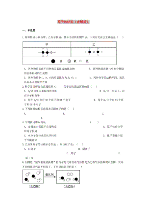 2019中考化學(xué)專題練習(xí) 原子的結(jié)構(gòu)（含解析）.doc