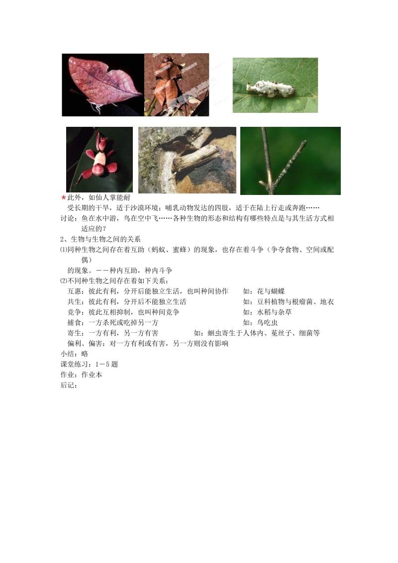 2019-2020年九年级科学下册《2.1 种群和生物群落（第三课时）》教案 浙教版.doc_第2页