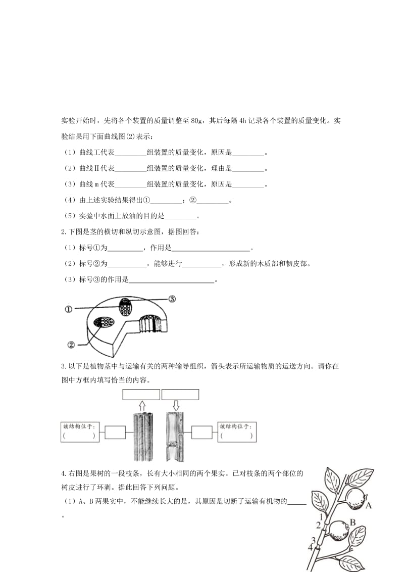 七年级生物上册 3.3《绿色植物与生物圈的水循环》练习 （新版）新人教版.doc_第2页