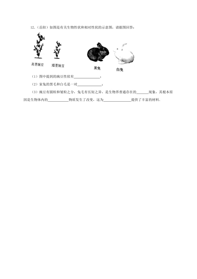 2019-2020年八年级生物下册6.2.2变异同步练习含解析新版冀教版.doc_第3页